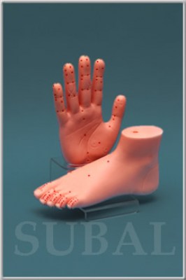 hand_foot_stand_m